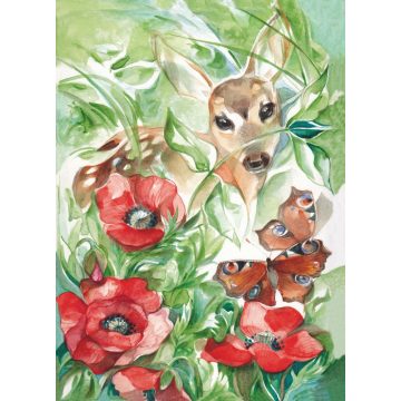 Őz és a mákvirág (63-094)